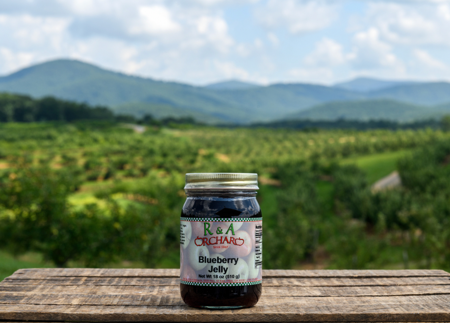 Blueberry Jelly