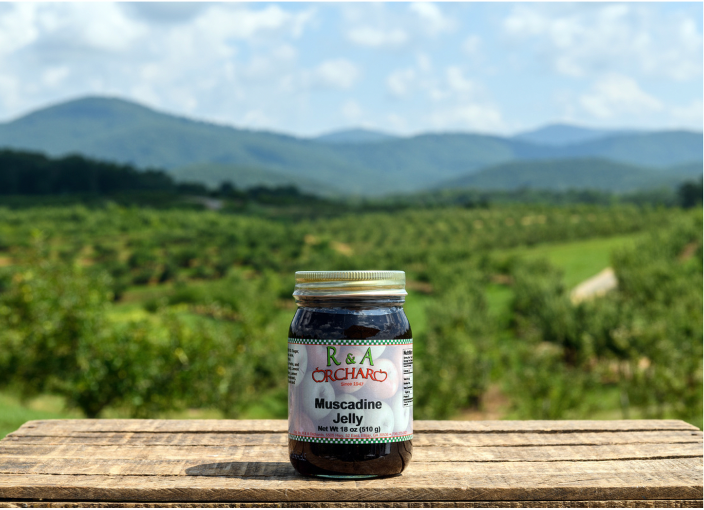 Musadine Jelly