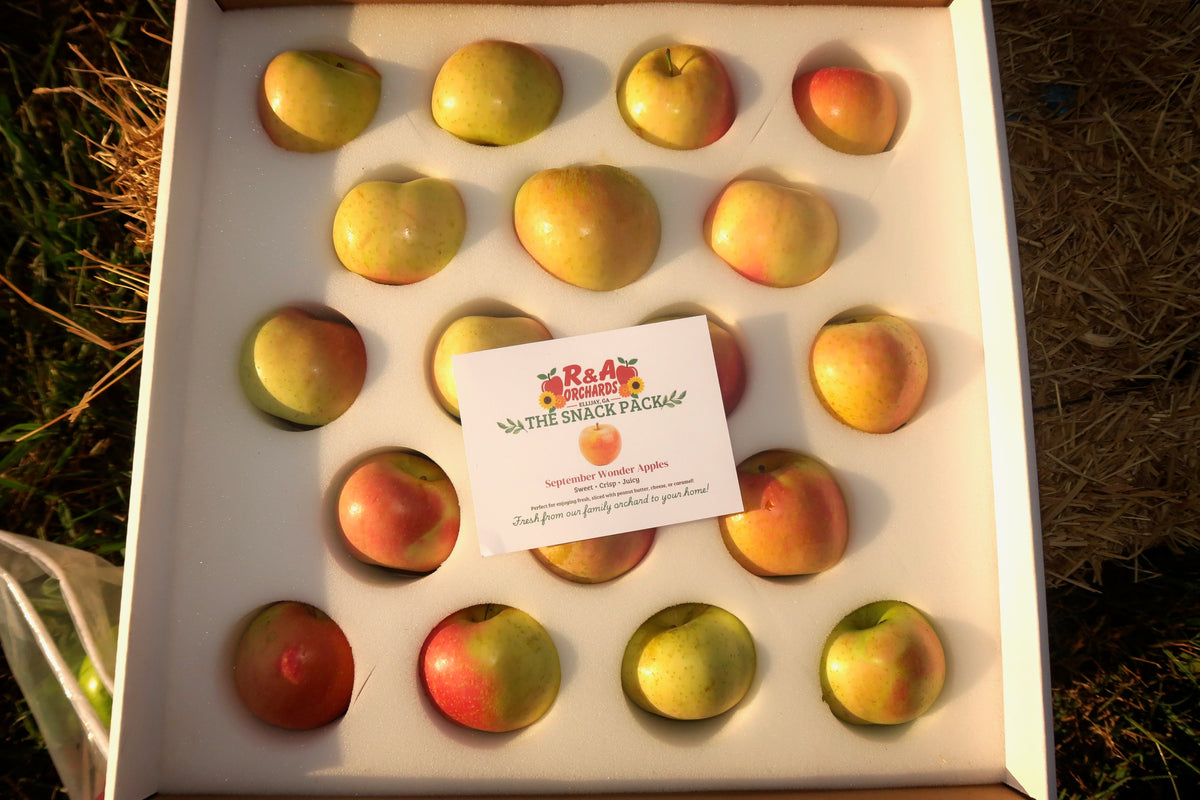 Snack Pack | September Wonder Apples - 18 count