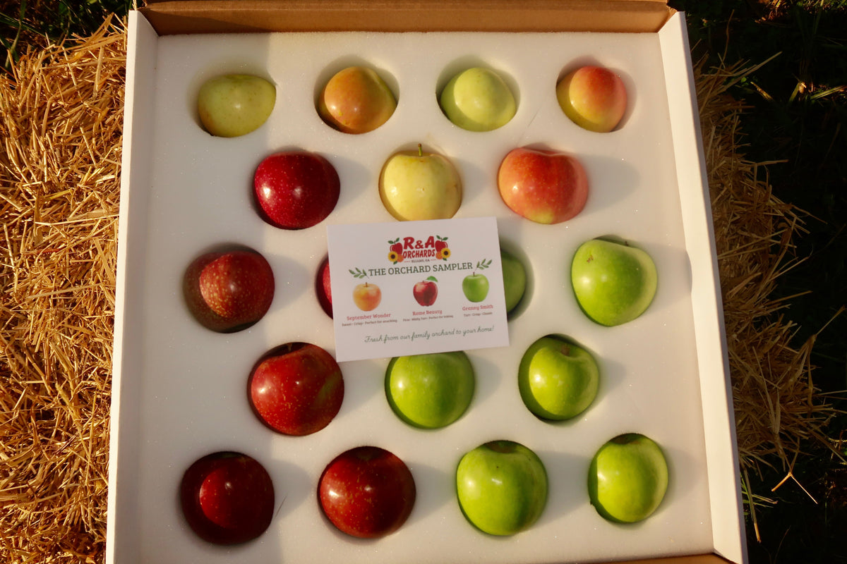 Orchard Sampler | Apple Variety Box- 18 count