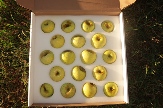 Sweet & Golden Box | Golden Delicious Apples- 18 count